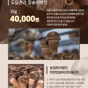 도담손가 참송이버섯 1kg